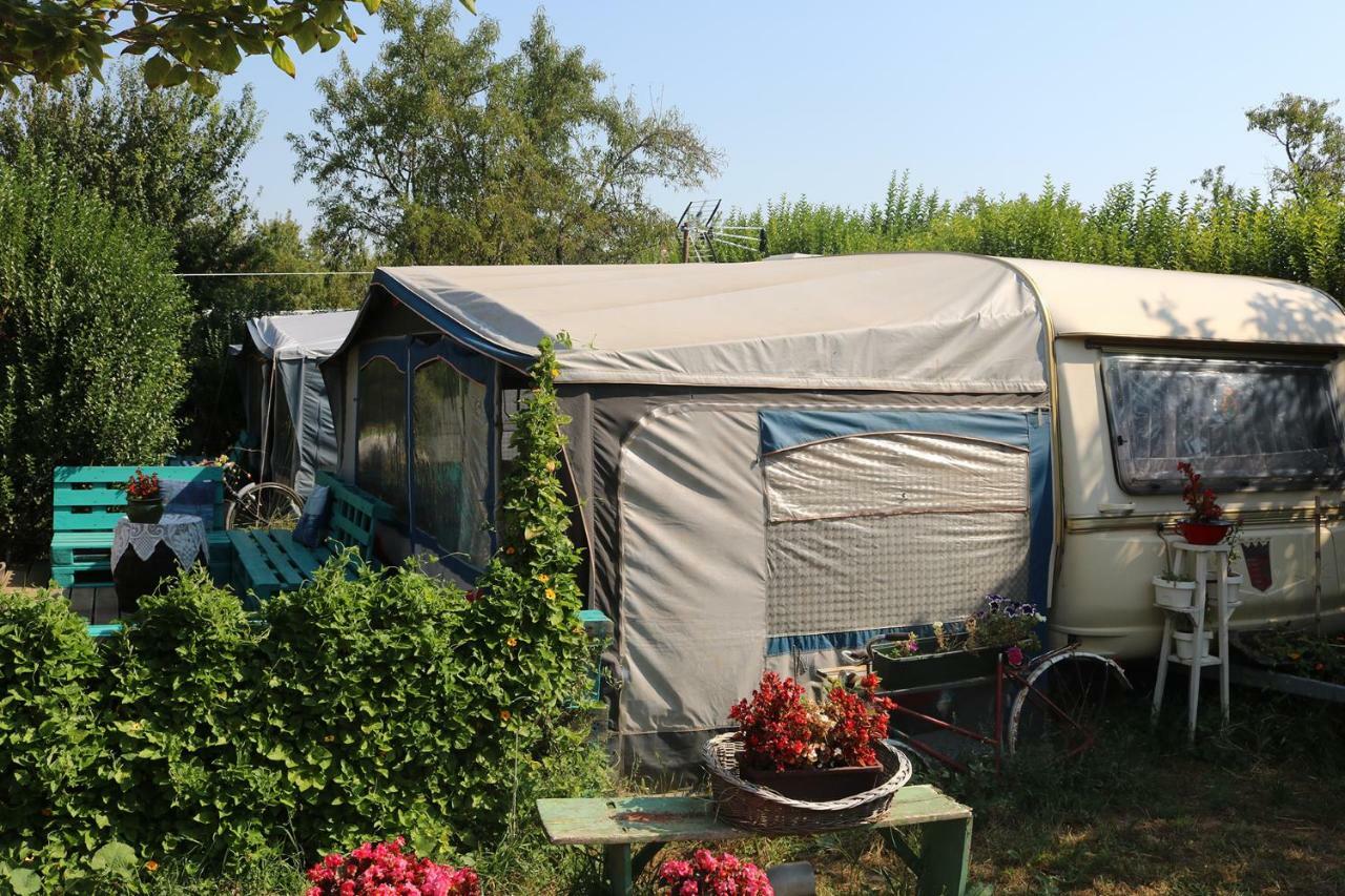Mandel Camping Полознок Номер фото